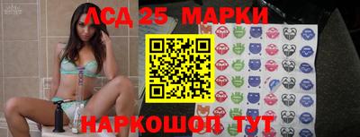 гидропоника Краснознаменск