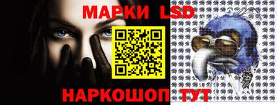 гашик Краснодар