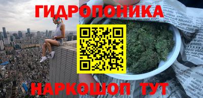 гашик Краснодар