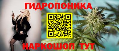гидропоника Краснознаменск