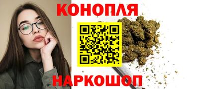 гидропоника Краснознаменск
