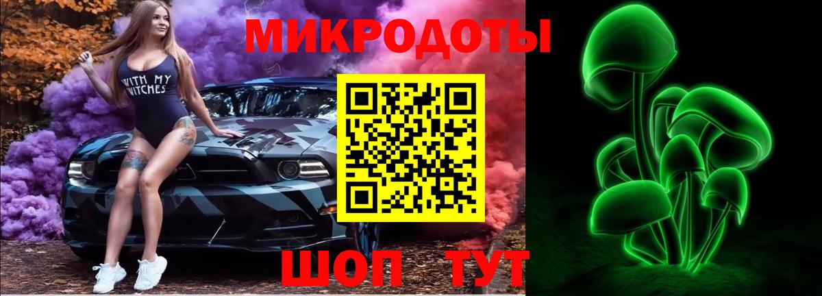 Псилоцибиновые грибы мицелий Гусь-Хрустальный